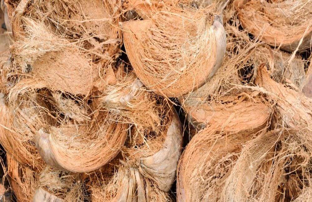 Benefits of Using Coconut Fiber as a Sustainable Plant Growth Medium in Gardening