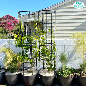 Forever Garden Plant Cages, Set of 3