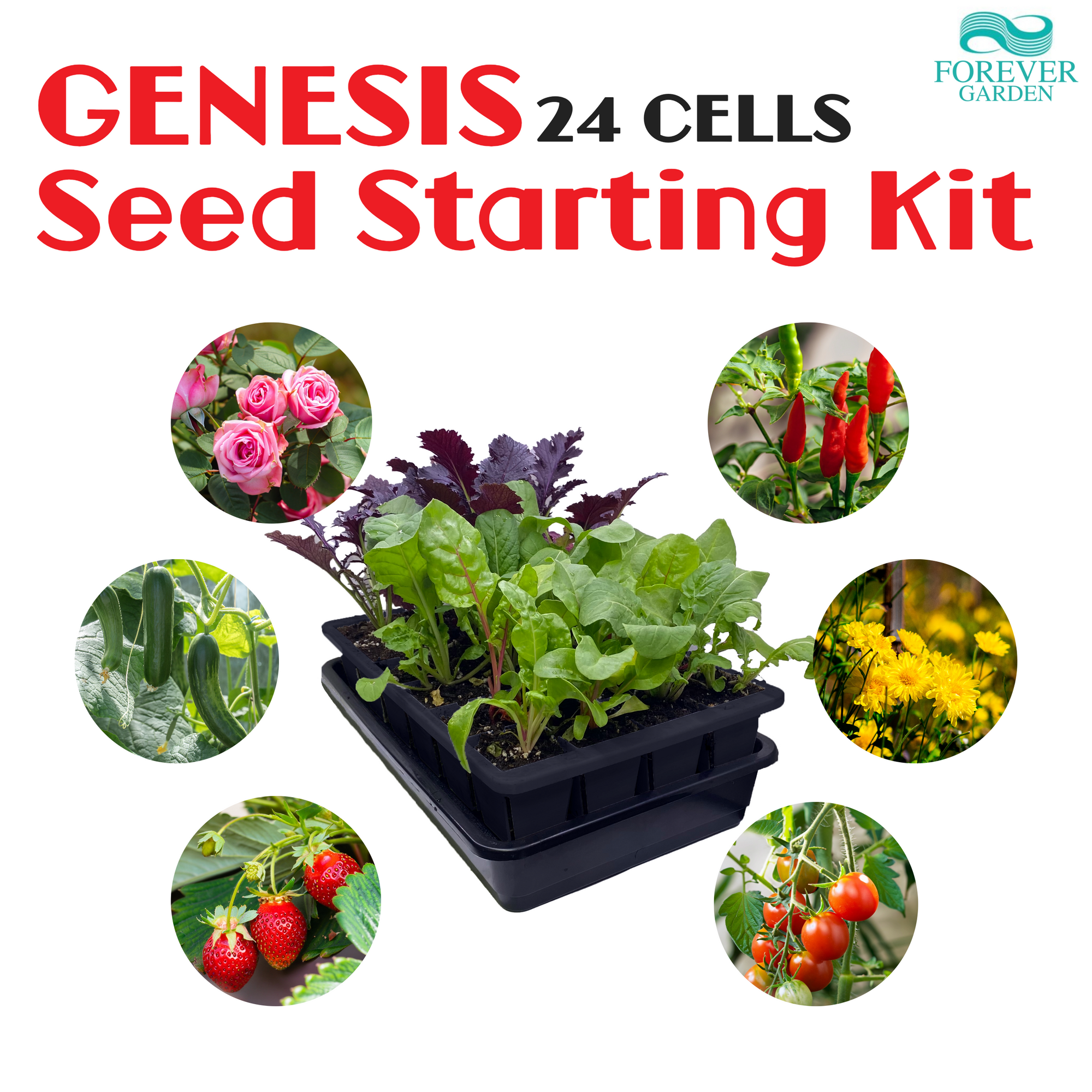 GENESIS Self-Watering Seed Starter