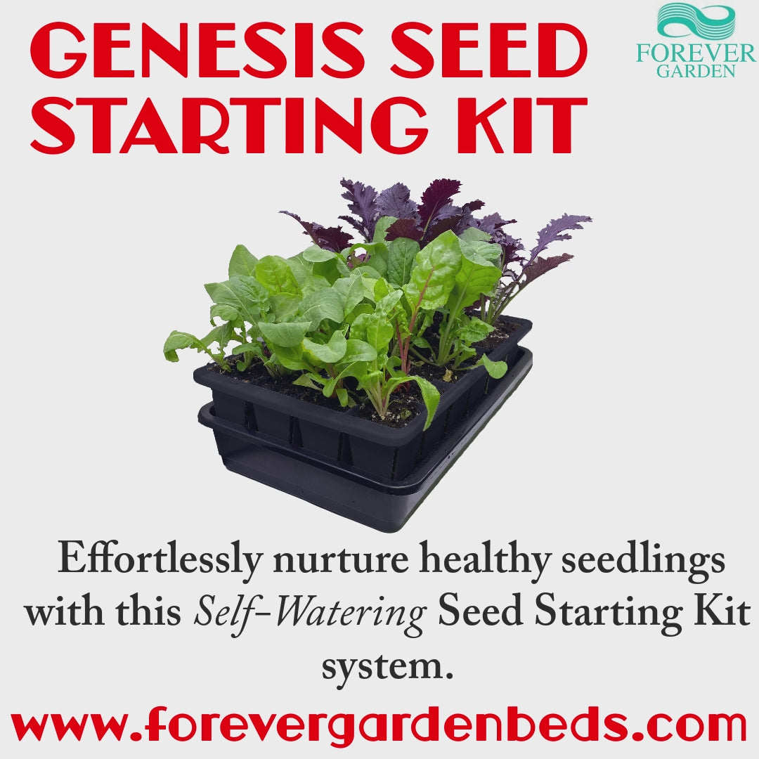 Genesis Self-Watering Seed Starter
